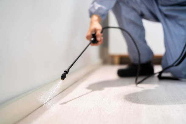 Licensed Termite Control service in Homeland, GA - Nex Pest Control
