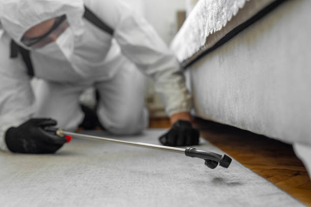 Professional Termite Control technician working in Homeland, GA