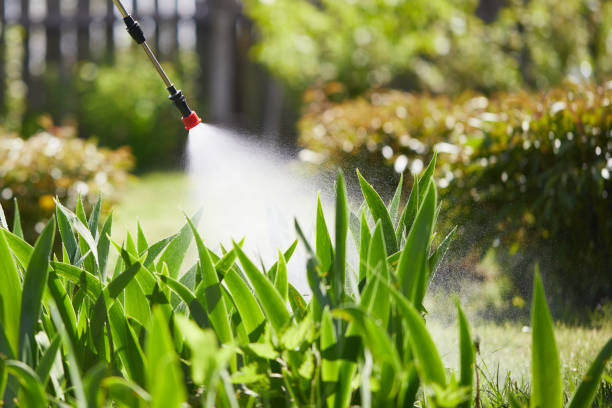 24/7 Emergency Termite Control experts in Homeland, GA