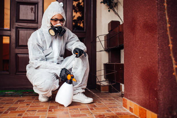 Reliable Termite Control contractor in Homeland, GA by Nex Pest Control