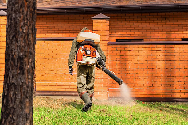 Trusted Emergency Pest Control service in Homeland, GA - Nex Pest Control